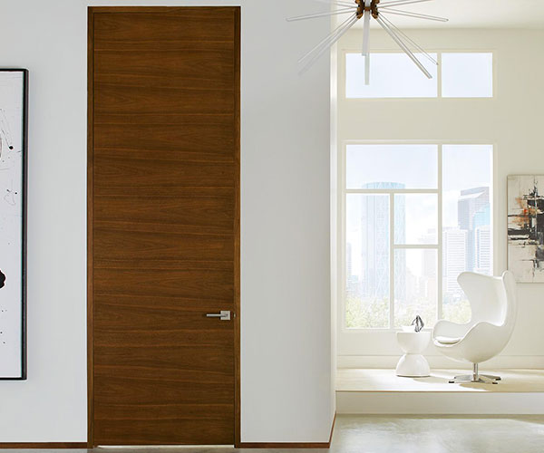 Modern Doors