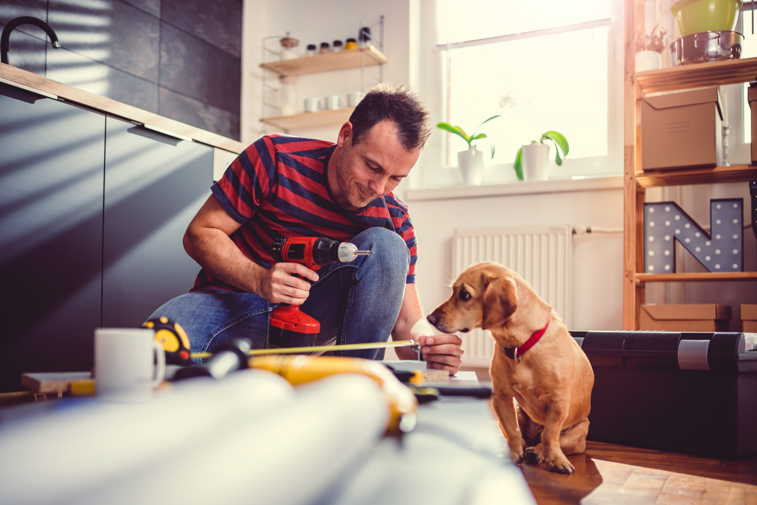 home renovation project